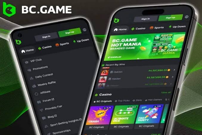 Download the BC.Game App Your Gateway to Exciting Gaming 868452989 Download the BC.Game App Your Gateway to Exciting Gaming 868452989