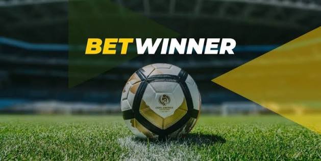 Exploring the BetWinner Betting Platform A Comprehensive Guide